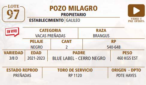 Lote LOTE 97 -EN VIVO