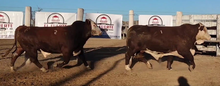 Lote CABAÑA EL FUERTE