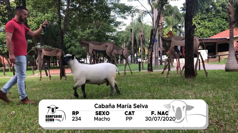 Lote LOTE 18 BOZAL - RP 234