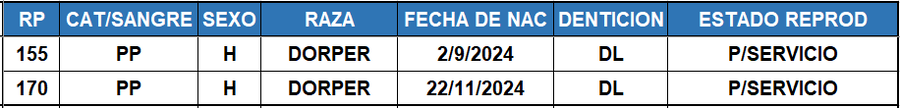 Lote LOTE 44