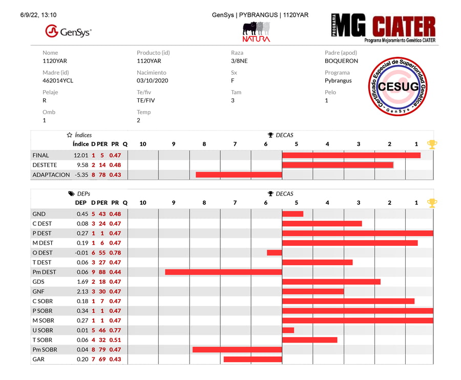Lote LOTE 10 - DUO