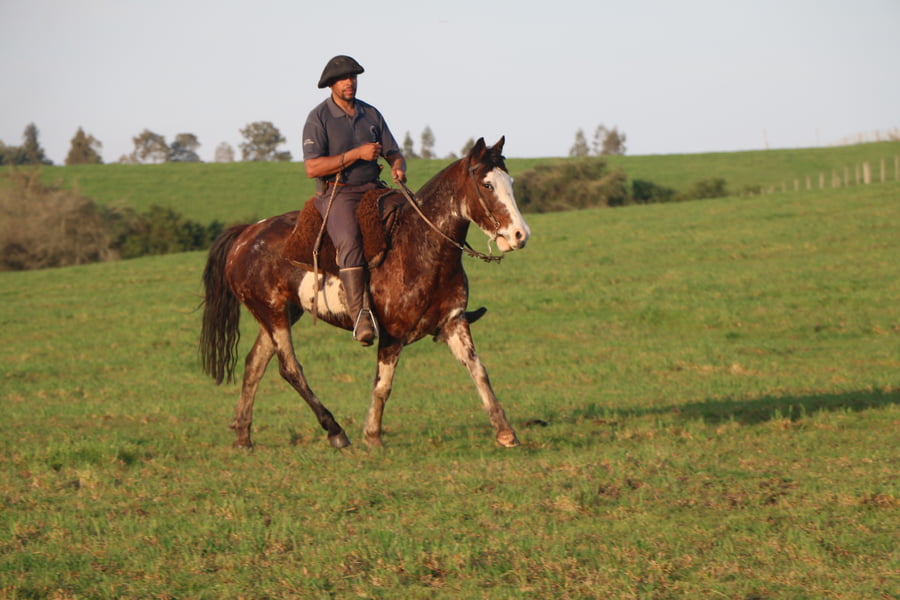 Lote TRADICION DEL CONVENTOS