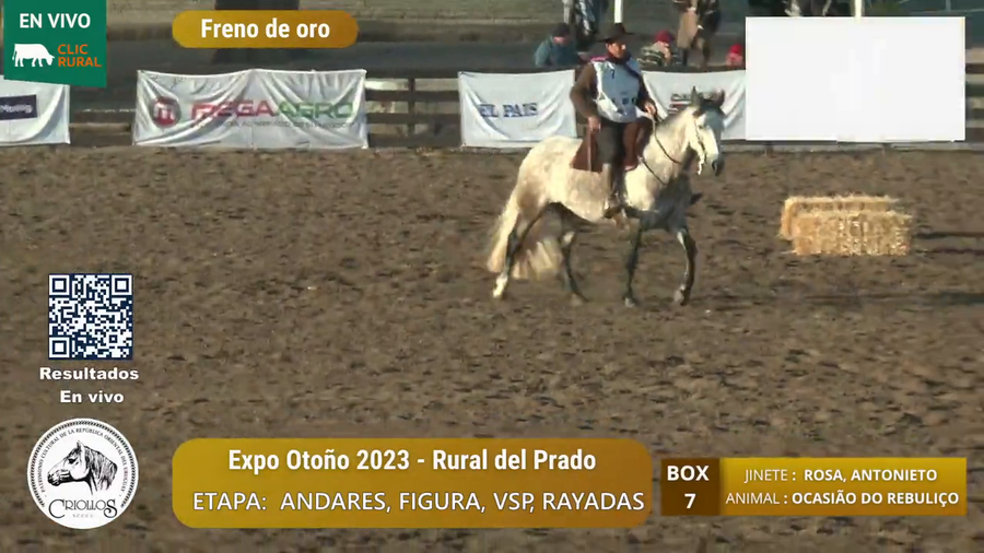 Lote OCASIÃO DO REBULIÇO - JULIANA HAX NUNES VIEIRA/JULIO CESAR
