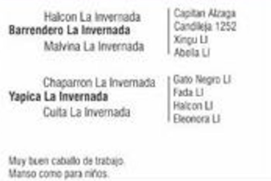 Lote VIUDITA DEL QUEBRACHAL