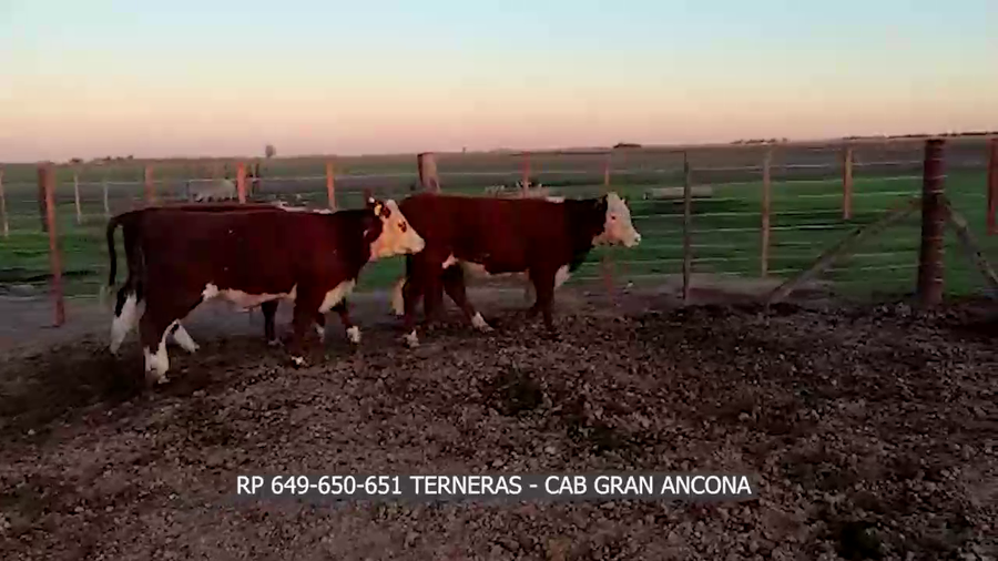 Lote RP 649 - 650 - 651 CABAÑA GRAN ANCONA