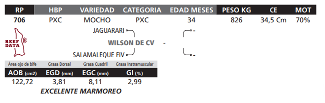 Lote LOTE 54