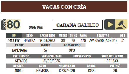 Lote LOTE 80