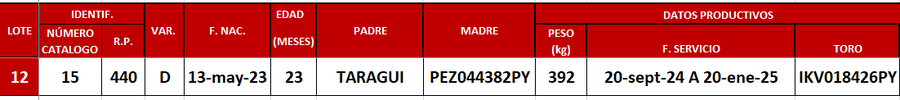 Lote LOTE 12
