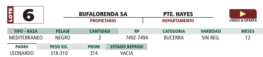 Lote LOTE 6