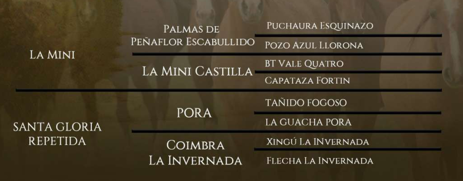 Lote Santa Gloria La Elegida