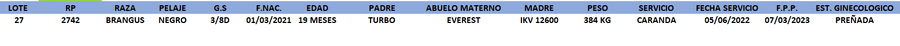 Lote LOTE 27