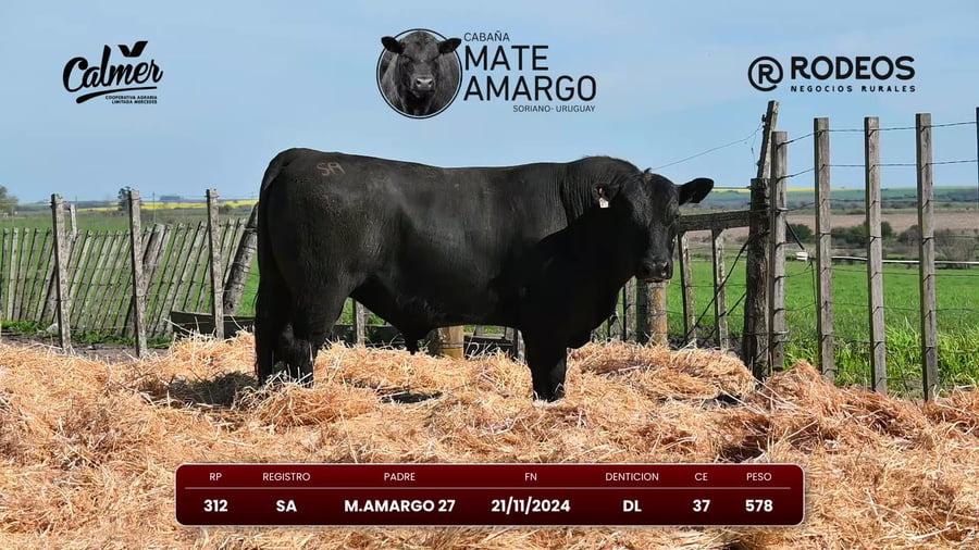 Lote RP 312 SA