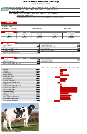 Lote Toros - Cabaña la luisa