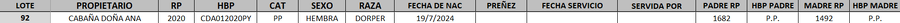 Lote LOTE 92
