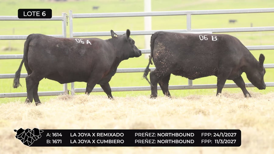Lote Lote 06-B