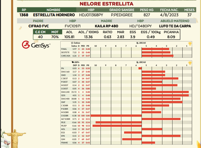 Lote LOTE 75