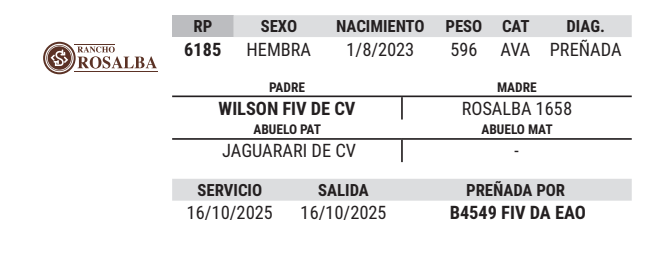 Lote LOTE 13