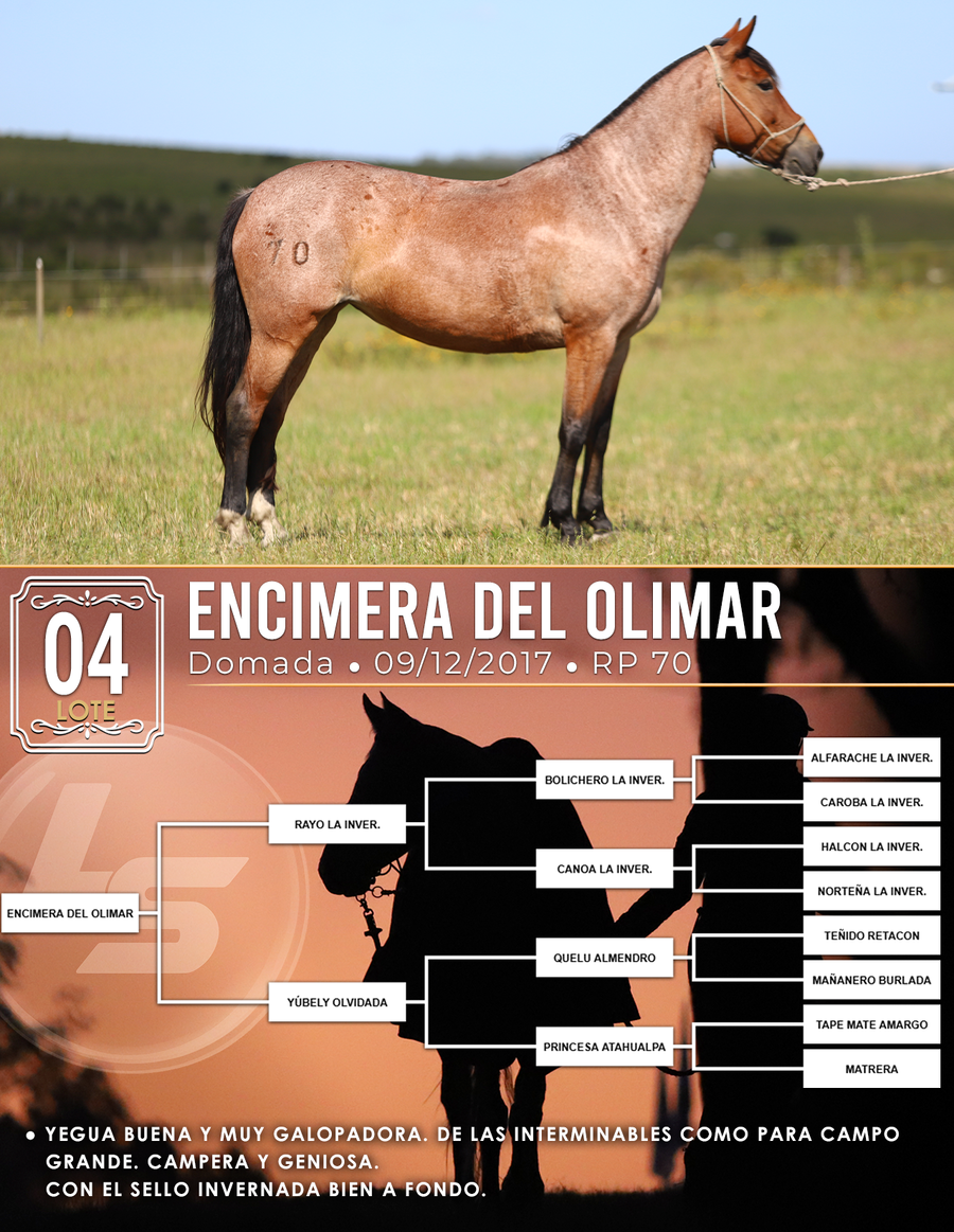 Lote ENCIMERA DEL OLIMAR