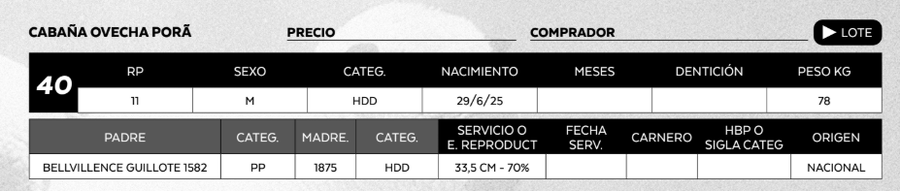 Lote LOTE 40