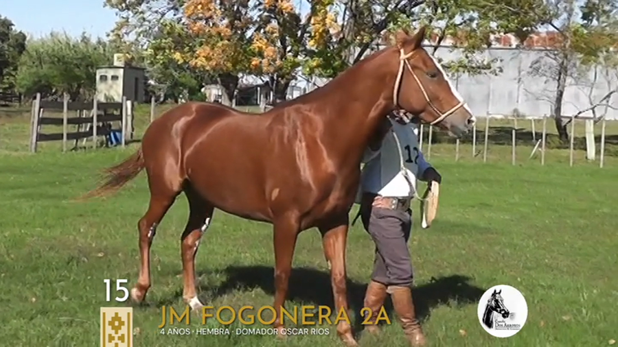 Lote JM Fogonera 2A