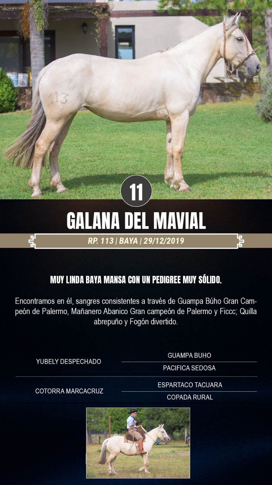 Lote Galana del Mavial