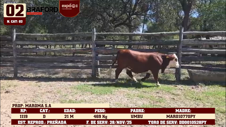 Lote LOTE 2