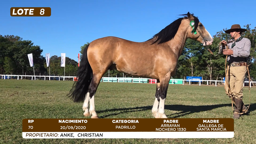 Lote LOTE 8