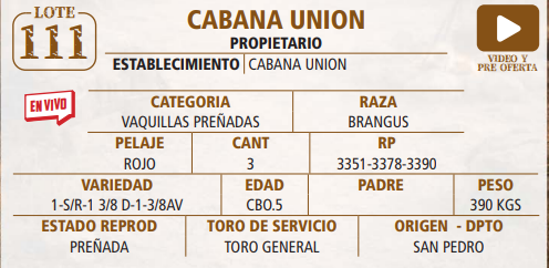 Lote LOTE 111 -EN VIVO