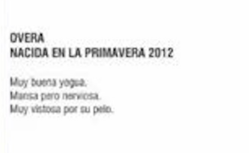 Lote YEGUA OVERA - 2012