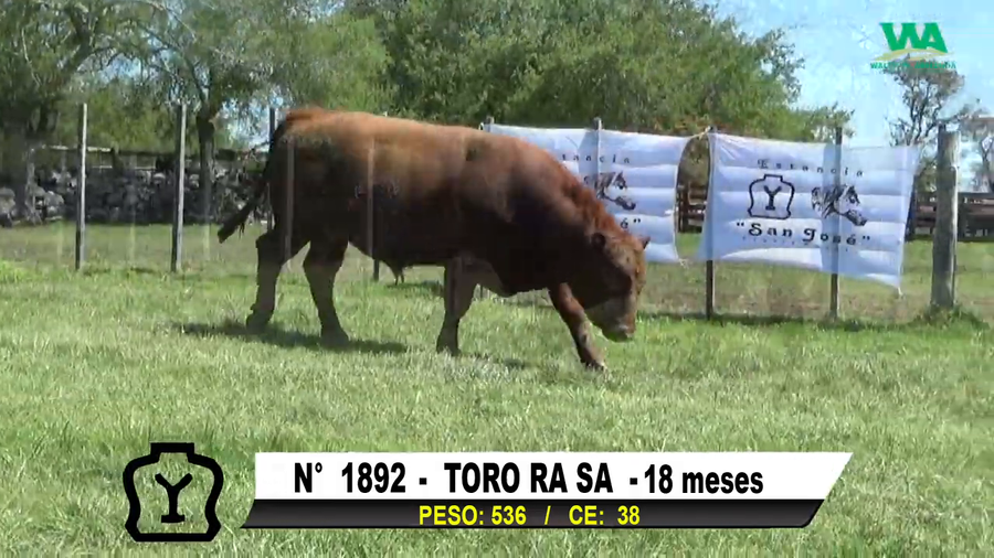 Lote TORO Nº 1892