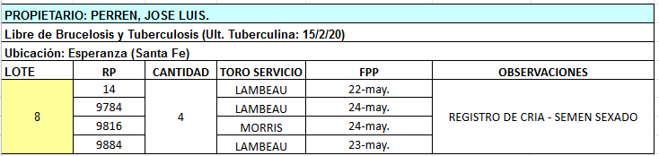 Lote 4 Vaquillonas en Esperanza, Santa Fe