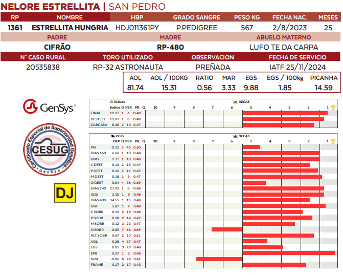 Lote LOTE 25