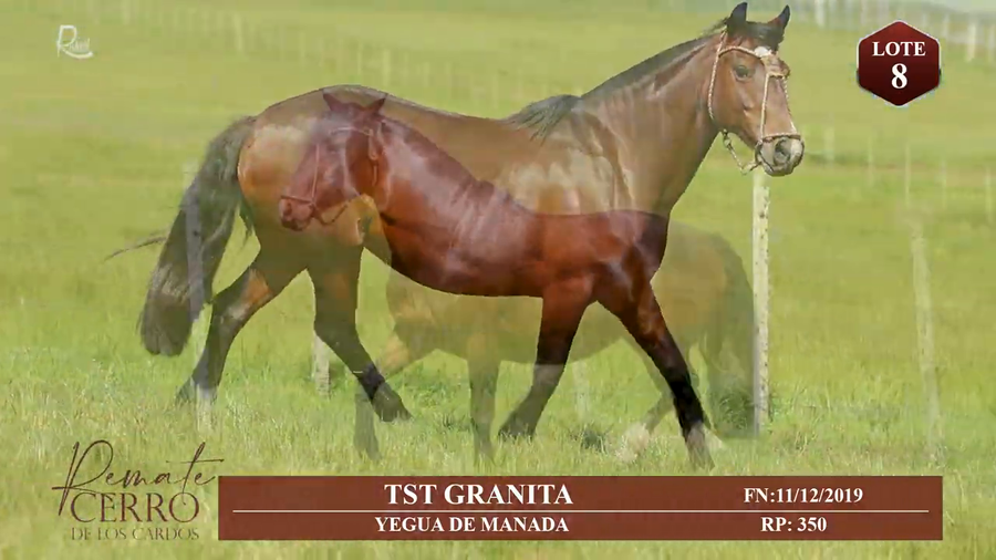Lote TST GRANITA