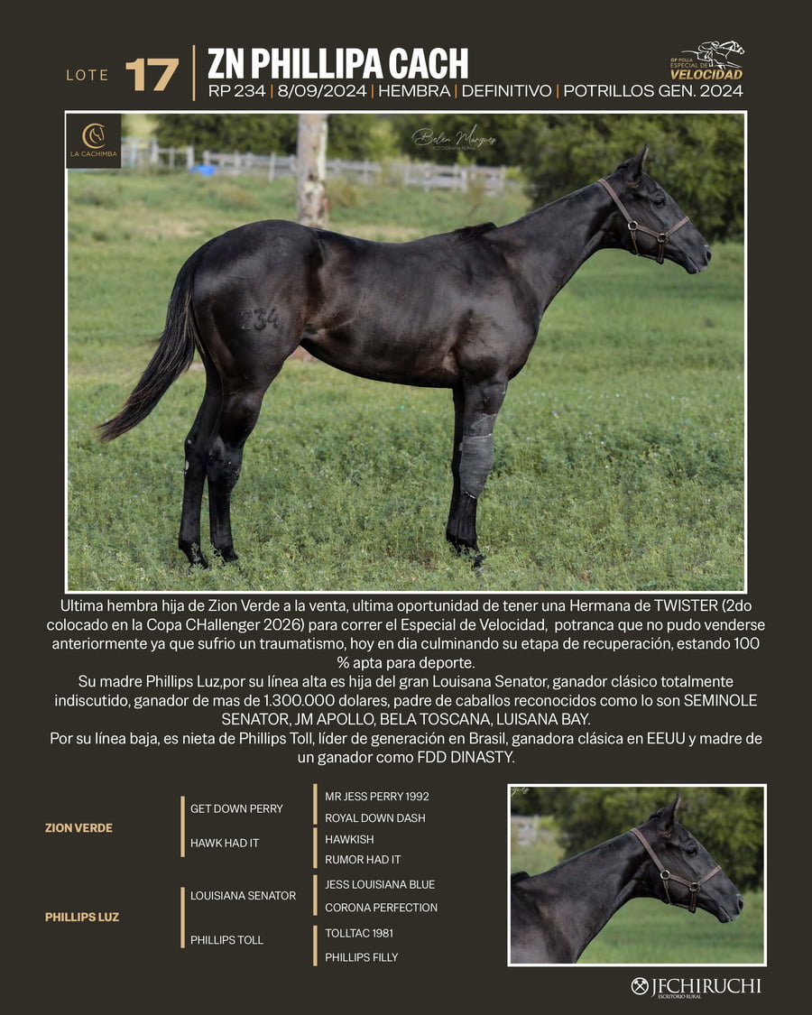 Lote ZN PHILLIPA CACH