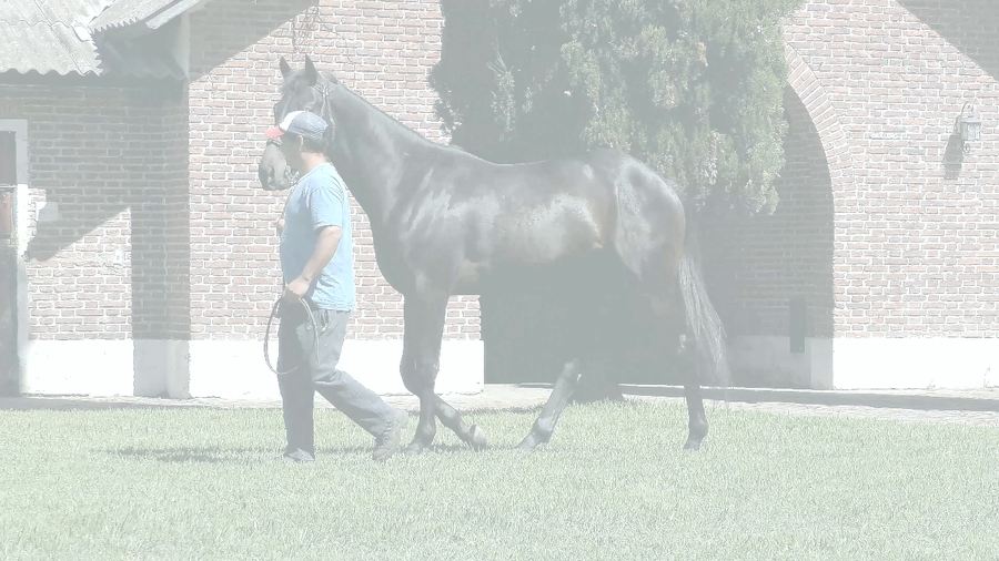 Lote MELODICO (SIXTIES SONG - MERCY ME)