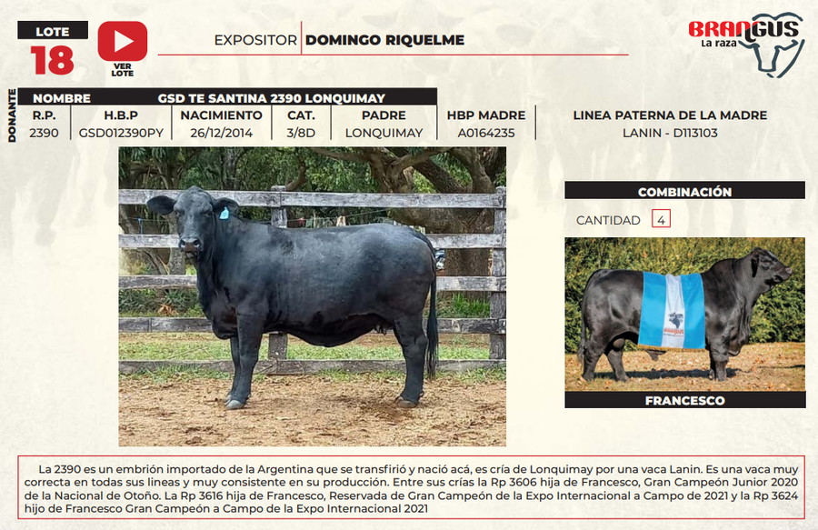 Lote LOTE 18