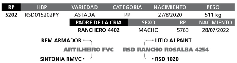 Lote LOTE 50 A BOZAL - RP 5202