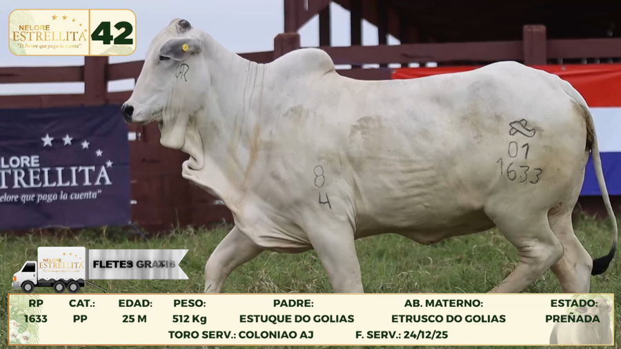 Lote LOTE 42