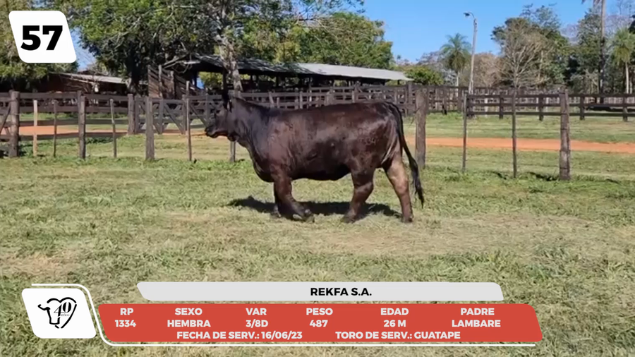 Lote LOTE 57-DE CAMPO