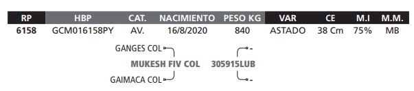 Lote LOTE 65