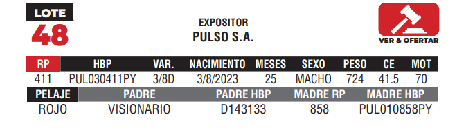 Lote LOTE 48 - CAMPO