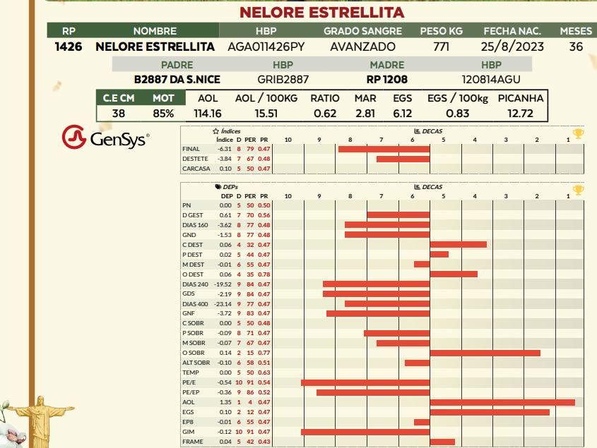 Lote LOTE 22