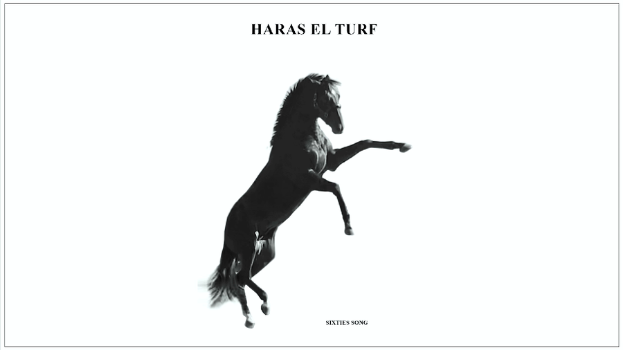 Lote CRAMBERRY (SIXTIES SONG - CAMELLIA)