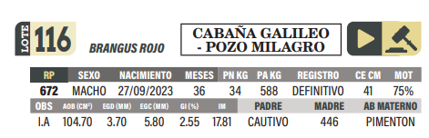 Lote LOTE 116