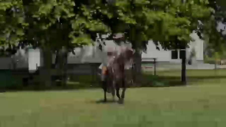 Lote Cañada Merlot (RP 415) Cabaña "La Cañada"