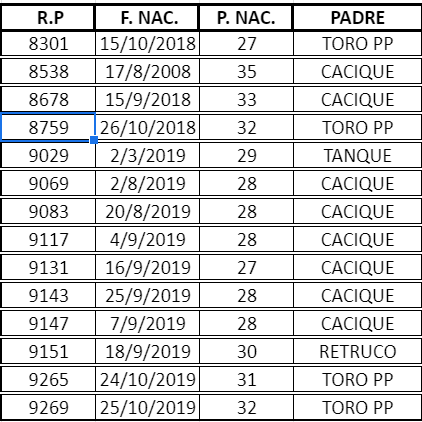 Lote VAQ. A. ANGUS COLORADAS  P. CONTROLADAS C/GTÍA DE PREÑEZ