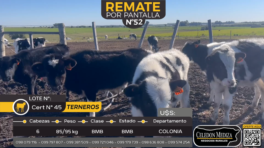 Lote 6 Terneros en Tarariras, Colonia