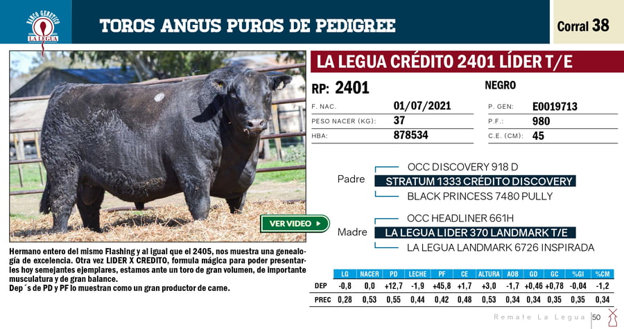 Lote TOROS ANGUS PP (RP 2401 SE VENDE EL 50%) (RP 2405 SE VENDE EL 100%)