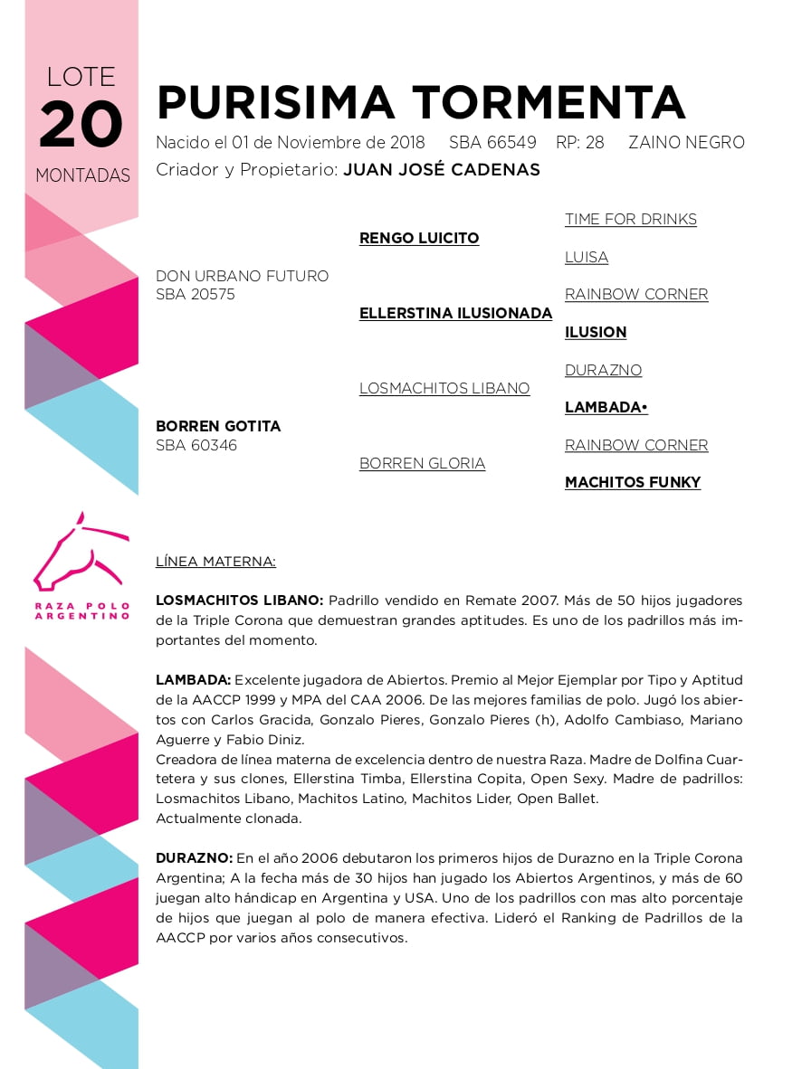 Lote PURISIMA TORMENTA (DON URBANO FUTURO - BORREN GOTITA)