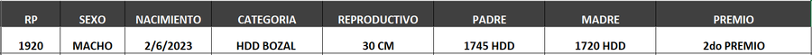 Lote LOTE 62- BOZAL